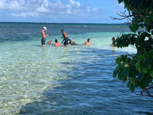 Baigneurs dans l'eau turquoise, près d'une côte boisée
