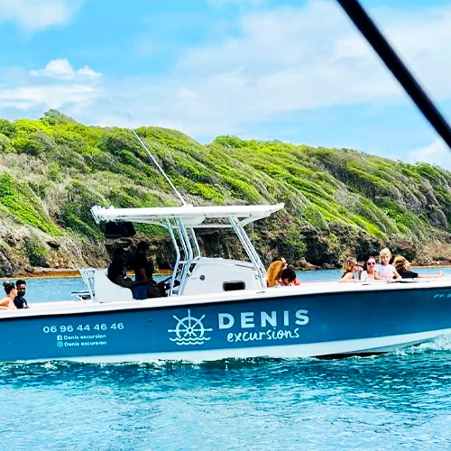 Le bateau Denis Excursions le long d'une côte verte