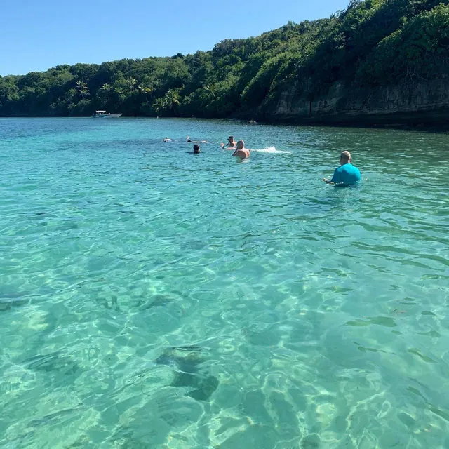 Eau turquoise des fonds blancs au pied d'une côte boisée