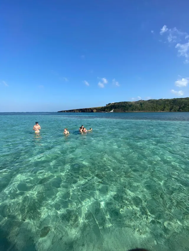 Îlet boisé et eau turquoise