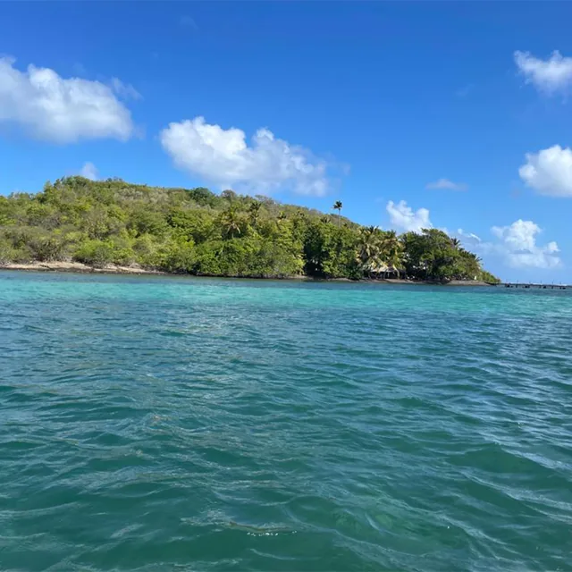 Îlet verdoyant entouré d'eau turquoise dans la baie du François